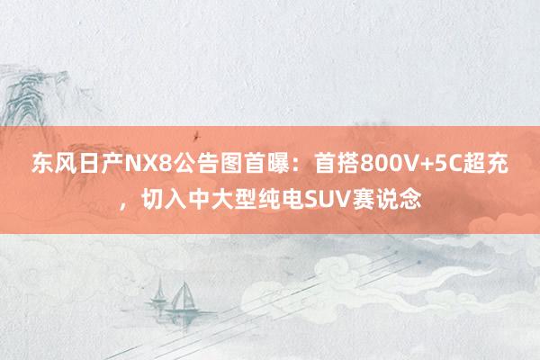 东风日产NX8公告图首曝：首搭800V+5C超充，切入中大型纯电SUV赛说念